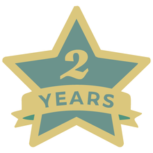 Load image into Gallery viewer, Anniversary Pin 1" x 1"
