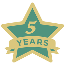 Load image into Gallery viewer, Anniversary Pin 1" x 1"
